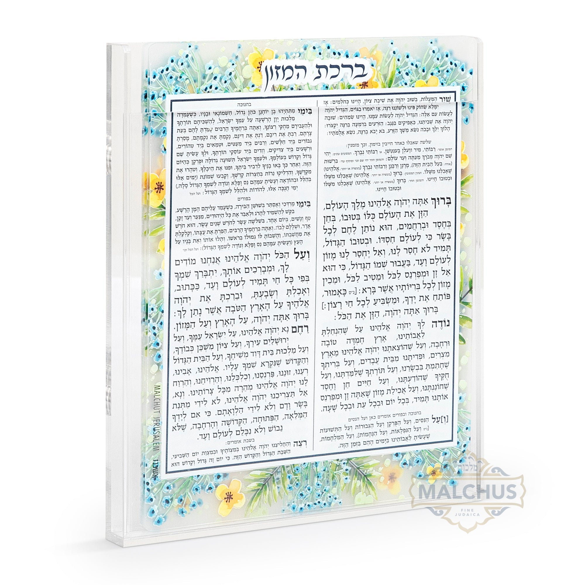 מעמד ברכונים מפלסטיק עם מגנט תכלת  #302