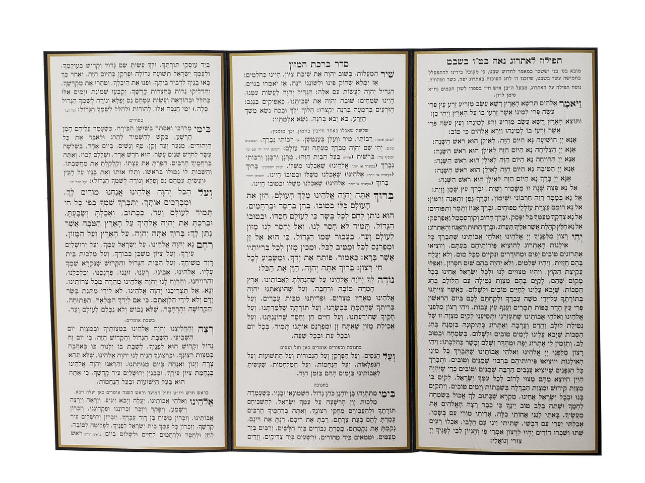 תפילה על האתרוג פולדר #251