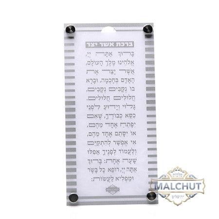 אשר יצר דגם פסים כסף 351