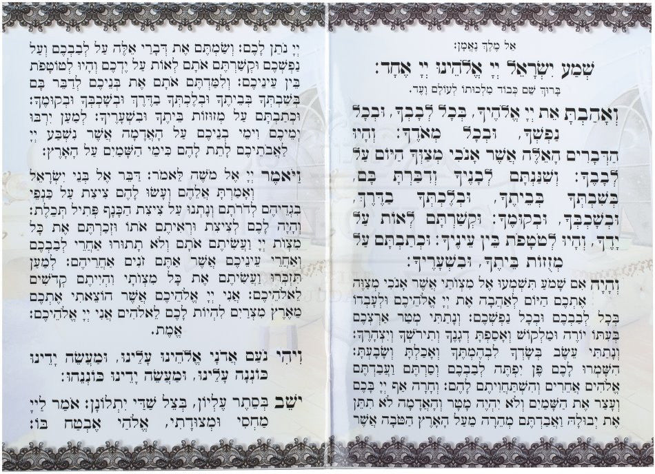 קריאת שמע למינציה גדול בנים #186