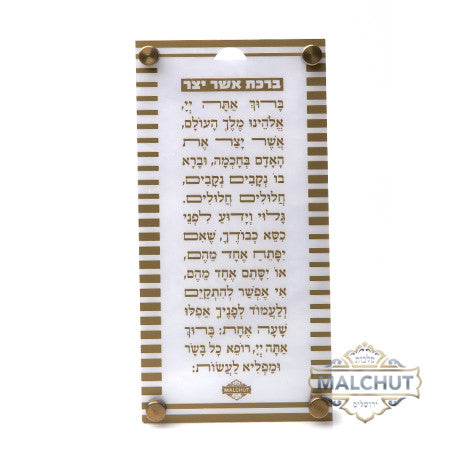 אשר יצר דגם פסים זהב #351