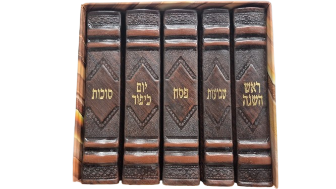 סט מחזורים  #006